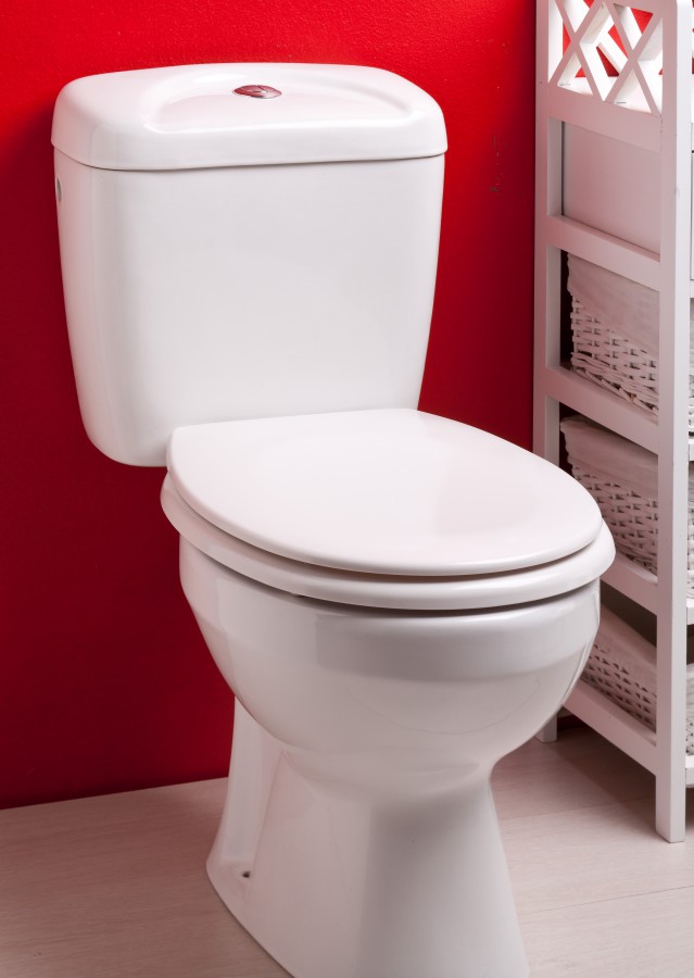 WC-Sitz weiß aus Duroplast