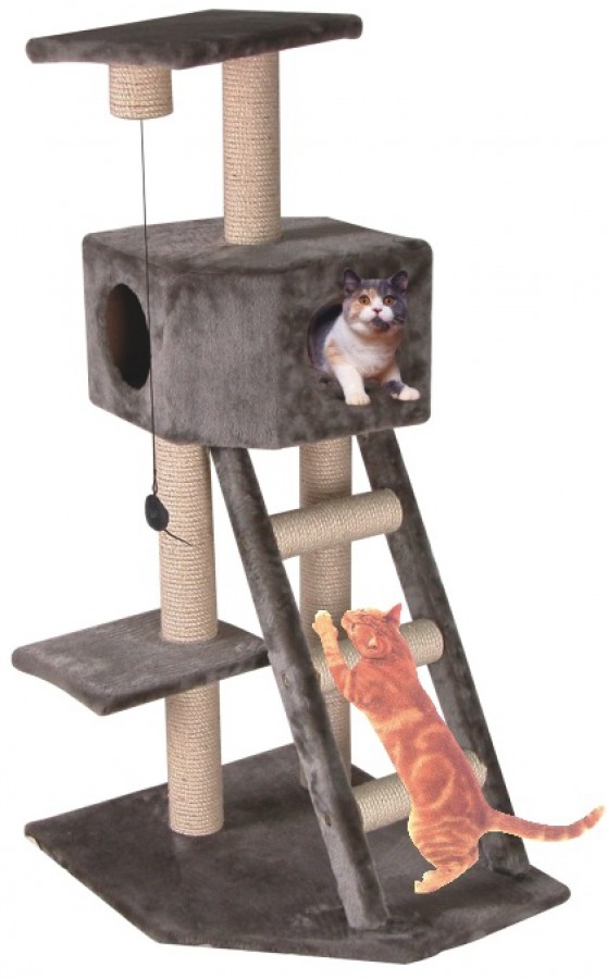 Katzenkratzbaum mittel