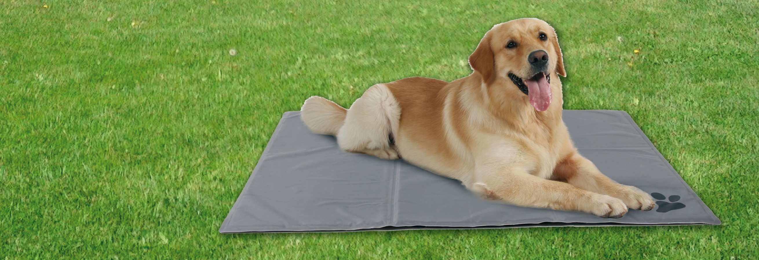 Kühlmatte für Hunde
